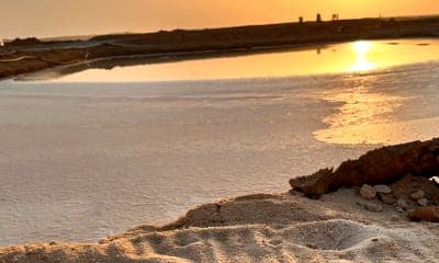 زيارة مدينة الذهب الأبيض.. القصب