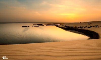 رحلة نسائية من الرياض الى الاحساء ليلتان مع النقل – للسيدات فقط